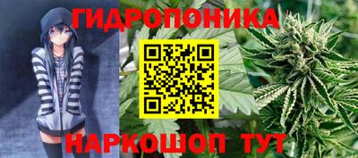 гидра Кунгур
