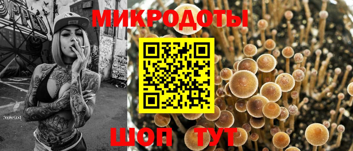 Псилоцибиновые грибы GOLDEN TEACHER  закладка  Вход с VPN  Южно-Сахалинск  Псилоцибиновые грибы Cubensis 
